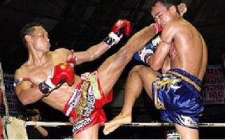 劲道成人搏击教学视频大全,全方位揭秘成人搏击技巧与实战策略