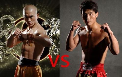 劲道成人搏击教学视频大全,全方位揭秘成人搏击技巧与实战策略