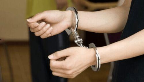 成人高档头绳抓子视频,揭秘成人高档头绳抓子的魅力与使用技巧