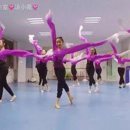 成人狮头舞视频大全集播放,成人狮头舞视频大全集精彩回顾