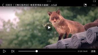 监控动物变成人的视频,动物变身人间的神秘瞬间