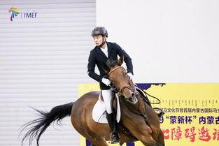 合成人马视频下载,技术突破与伦理探讨