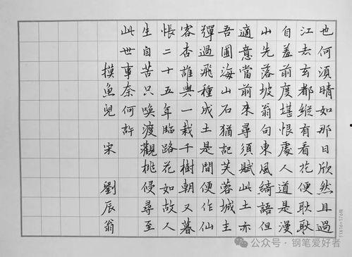 成人硬笔练字欣赏视频,跟随视频领略成人硬笔练字风采