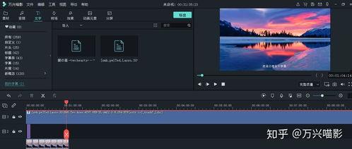 成人做视频软件电脑推荐,成人视频软件电脑推荐指南
