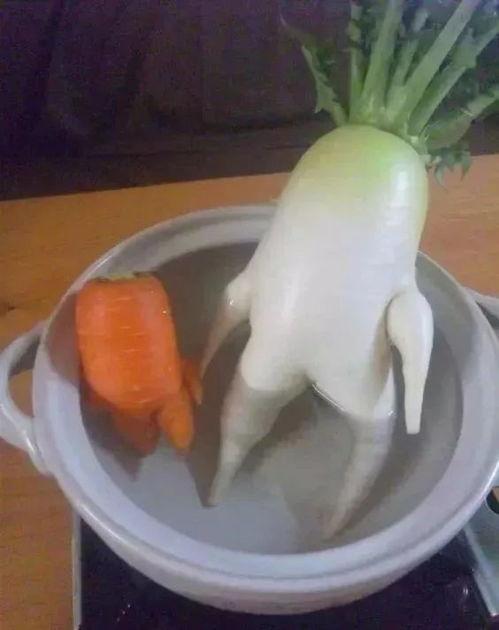 蔬菜做成人形搞笑视频,人形蔬菜搞笑大作战