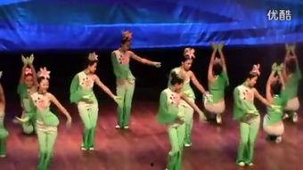 藏族成人舞蹈课堂视频,藏族成人舞蹈课堂精彩瞬间