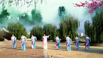 汉中成人广场舞视频大全,舞动人生,乐享晚年