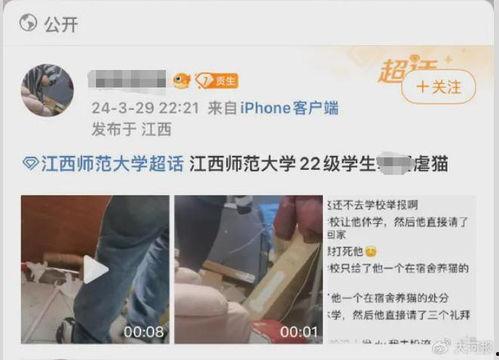 对碰碰成人在线视频