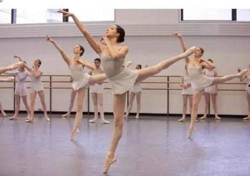 成人选手跳舞视频教学